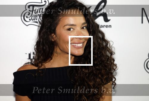 Amsterdam 11 september 2024
Fabulous Mama awards in All out in Amsterdam. fajah Lourens