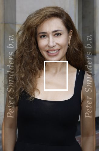 Amsterdam 9september 2024
Strong women award in hotel The Grand . Fidan Ekiz