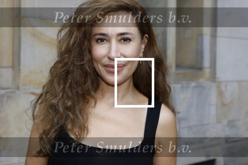Amsterdam 9september 2024
Strong women award in hotel The Grand . Fidan Ekiz