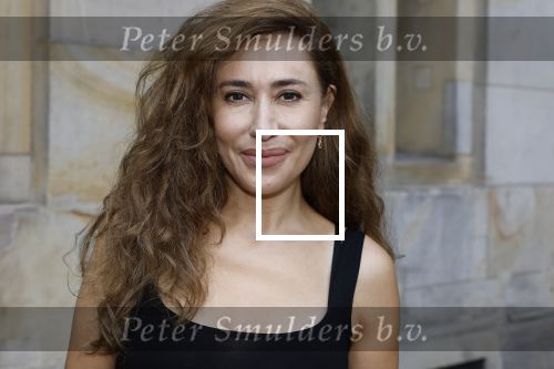 Amsterdam 9september 2024
Strong women award in hotel The Grand . Fidan Ekiz