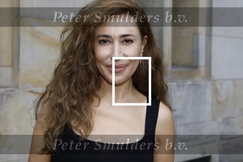 Amsterdam 9september 2024
Strong women award in hotel The Grand . Fidan Ekiz