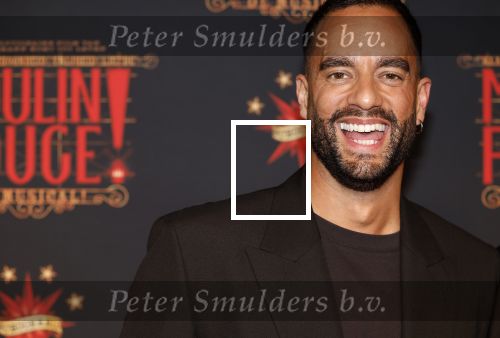 Utrecht 19 september 2024
Premiere Moulin Rouge in het Beatrix theater. Freek Bartels