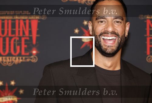 Utrecht 19 september 2024
Premiere Moulin Rouge in het Beatrix theater. Freek Bartels