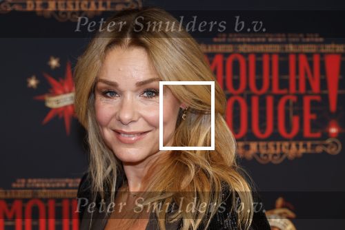 Utrecht 19 september 2024
Premiere Moulin Rouge in het Beatrix theater. Froukje de Both kwam met hugo Kennis