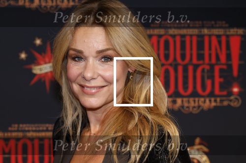 Utrecht 19 september 2024
Premiere Moulin Rouge in het Beatrix theater. Froukje de Both kwam met hugo Kennis