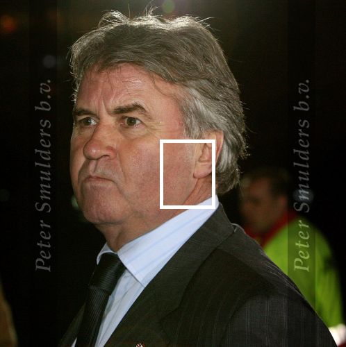 Eindhoven, 12 April 2006 Kompetitiewedstrijd PSV-Feyenoord, eindstand 1-1    Seizoen 2005/2006
Afscheid Guus Hiddink
