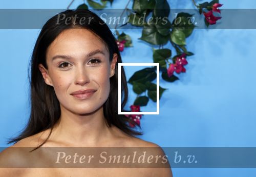 Rotterdam 27 september 2024
Premiere Mamma mia the party in  Schiecentrale. Holly Brood kwam met vrienden