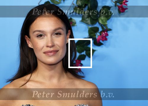 Rotterdam 27 september 2024
Premiere Mamma mia the party in  Schiecentrale. Holly Brood kwam met vrienden