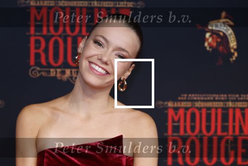 Utrecht 19 september 2024
Premiere Moulin Rouge in het Beatrix theater. Brecht v Arnhem en  Judith v d Wijst