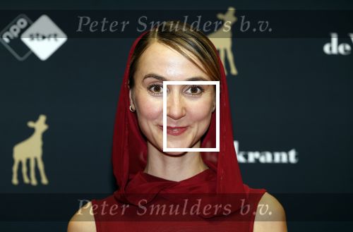 Utrecht 20 september 2024
Premiere Witte Flits tijdens de openings avond van de Filmdagen in Utrecht . Joes Brauers met zijn partner Julia Akkermans