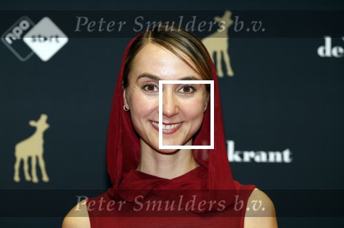 Utrecht 20 september 2024
Premiere Witte Flits tijdens de openings avond van de Filmdagen in Utrecht . Joes Brauers met zijn partner Julia Akkermans
