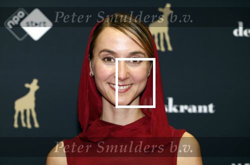 Utrecht 20 september 2024
Premiere Witte Flits tijdens de openings avond van de Filmdagen in Utrecht . Joes Brauers met zijn partner Julia Akkermans
