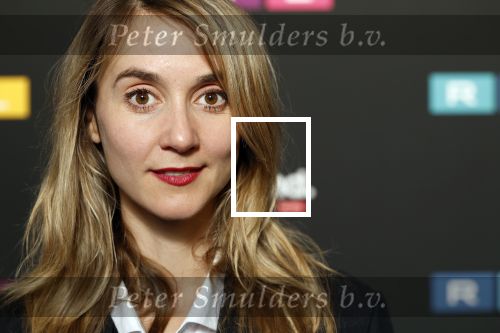 Schiphol 31 september 2024
Winterpresentatie RTL / Videoland in een tent achter Hotel v d Valk bij Schiphol . Julia Akkermans