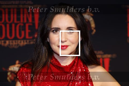 Utrecht 19 september 2024
Premiere Moulin Rouge in het Beatrix theater. Karsu