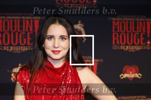 Utrecht 19 september 2024
Premiere Moulin Rouge in het Beatrix theater. Karsu