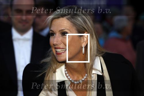 Amsterdam 13 september 2024
Koningin Maxima bezoekt concert van concertgebouw orkest in het Nelson Madela Park.