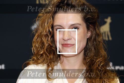 Utrecht 20 september 2024
Premiere Witte Flits tijdens de openings avond van de Filmdagen in Utrecht . Laura Hermanides