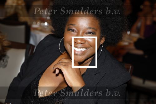 Amsterdam 9september 2024
Strong women award in hotel The Grand . Leona Philippo