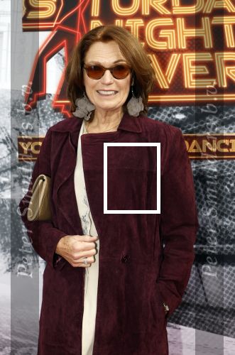 Den Bosch 29 september 2024
Premiere Saturday night fever in de Parade in Den Bosch . Liz Snoijink