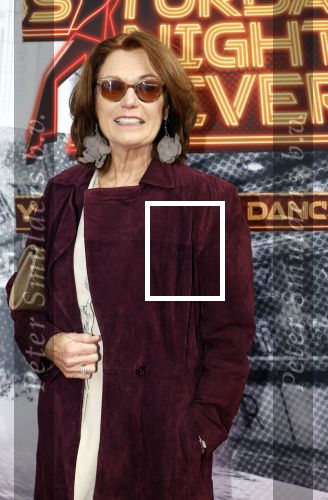 Den Bosch 29 september 2024
Premiere Saturday night fever in de Parade in Den Bosch . Liz Snoijink