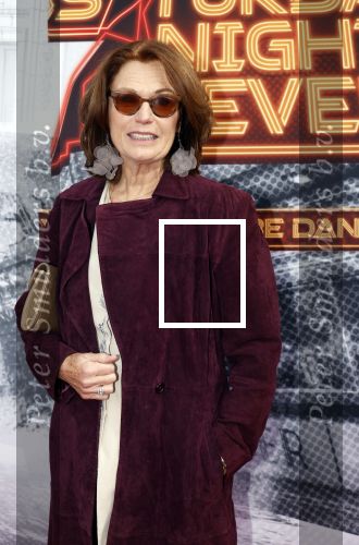 Den Bosch 29 september 2024
Premiere Saturday night fever in de Parade in Den Bosch . Liz Snoijink