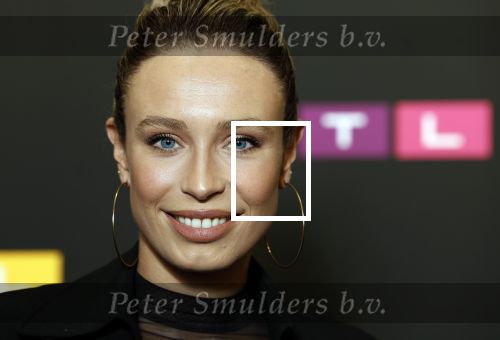 Schiphol 31 september 2024
Winterpresentatie RTL / Videoland in een tent achter Hotel v d Valk bij Schiphol . Loiza lamers