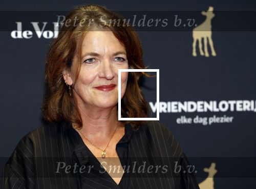 Utrecht 20 september 2024
Premiere Witte Flits tijdens de openings avond van de Filmdagen in Utrecht . Malou Gorter