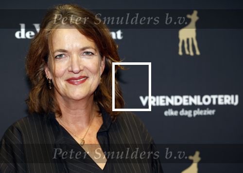 Utrecht 20 september 2024
Premiere Witte Flits tijdens de openings avond van de Filmdagen in Utrecht . Malou Gorter