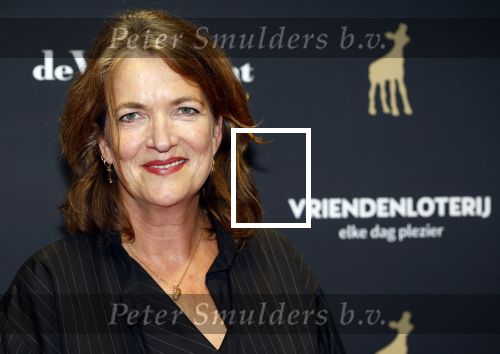 Utrecht 20 september 2024
Premiere Witte Flits tijdens de openings avond van de Filmdagen in Utrecht . Malou Gorter