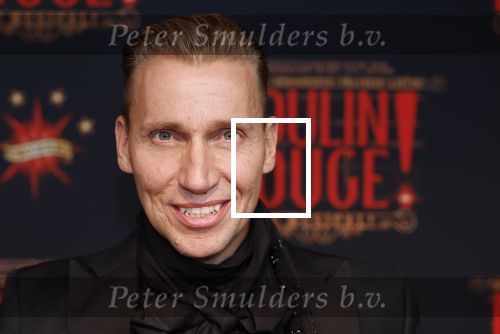 Utrecht 19 september 2024
Premiere Moulin Rouge in het Beatrix theater. Marcel Visscher