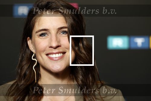 Schiphol 31 september 2024
Winterpresentatie RTL / Videoland in een tent achter Hotel v d Valk bij Schiphol . marieke Elsinga