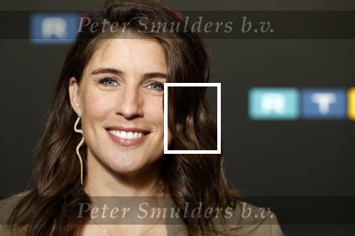 Schiphol 31 september 2024
Winterpresentatie RTL / Videoland in een tent achter Hotel v d Valk bij Schiphol . marieke Elsinga