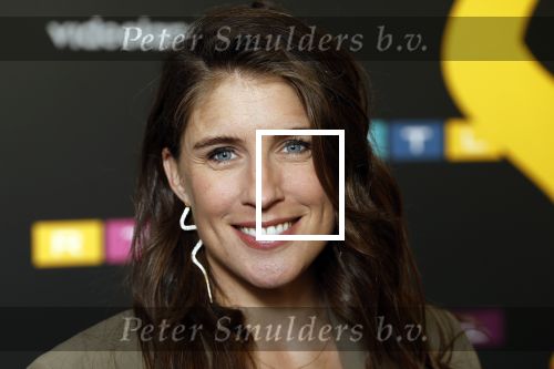 Schiphol 31 september 2024
Winterpresentatie RTL / Videoland in een tent achter Hotel v d Valk bij Schiphol . marieke Elsinga