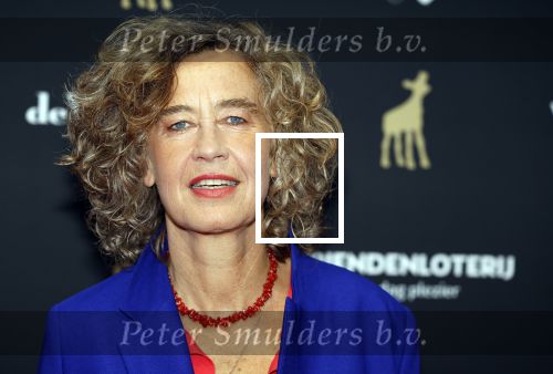 Utrecht 20 september 2024
Premiere Witte Flits tijdens de openings avond van de Filmdagen in Utrecht . Ido Abram en Marjolijn Bronkhuyzen