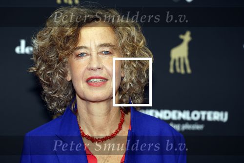 Utrecht 20 september 2024
Premiere Witte Flits tijdens de openings avond van de Filmdagen in Utrecht . Ido Abram en Marjolijn Bronkhuyzen