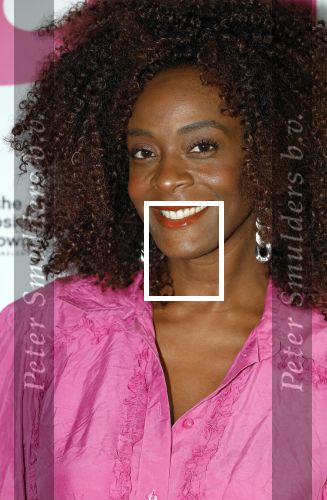 Amsterdam 11 september 2024
Fabulous Mama awards in All out in Amsterdam.  Maureen Powel