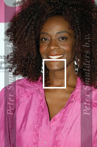 Amsterdam 11 september 2024
Fabulous Mama awards in All out in Amsterdam.  Maureen Powel
