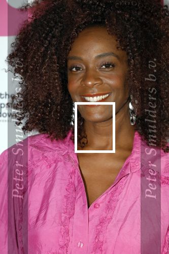 Amsterdam 11 september 2024
Fabulous Mama awards in All out in Amsterdam.  Maureen Powel