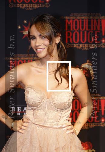 Utrecht 19 september 2024
Premiere Moulin Rouge in het Beatrix theater. Monica Geuze