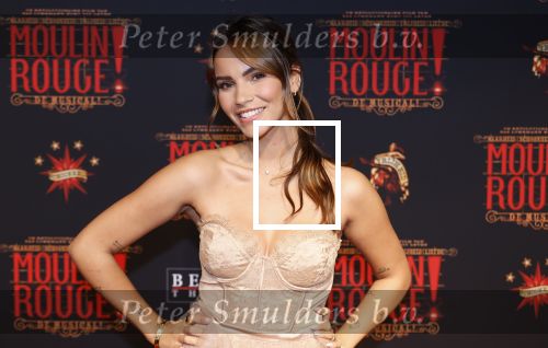 Utrecht 19 september 2024
Premiere Moulin Rouge in het Beatrix theater. Monica Geuze
