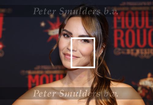 Utrecht 19 september 2024
Premiere Moulin Rouge in het Beatrix theater. Monica Geuze