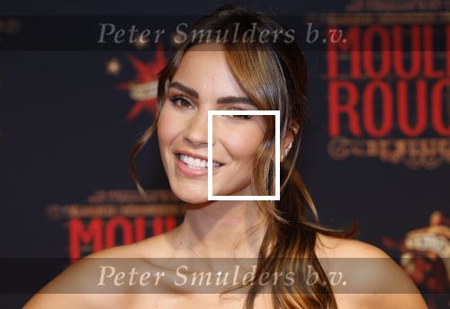 Utrecht 19 september 2024
Premiere Moulin Rouge in het Beatrix theater. Monica Geuze