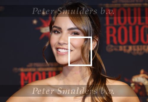 Utrecht 19 september 2024
Premiere Moulin Rouge in het Beatrix theater. Monica Geuze