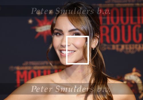 Utrecht 19 september 2024
Premiere Moulin Rouge in het Beatrix theater. Monica Geuze
