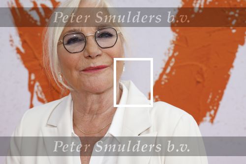 Katwijk 8 september 2024
Premiere Soldaat van Oranje in de Hangaar . Edwin de Vries kwam met zijn vrouw Monique v d Ven