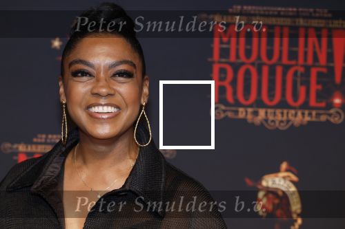 Utrecht 19 september 2024
Premiere Moulin Rouge in het Beatrix theater. Natacha Harlequin