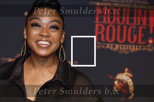 Utrecht 19 september 2024
Premiere Moulin Rouge in het Beatrix theater. Natacha Harlequin