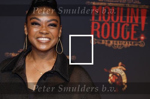 Utrecht 19 september 2024
Premiere Moulin Rouge in het Beatrix theater. Natacha Harlequin