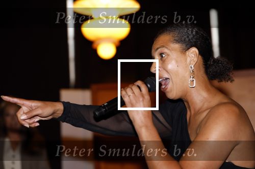 Amsterdam 9september 2024
Strong women award in hotel The Grand . Nathalie Saabeel