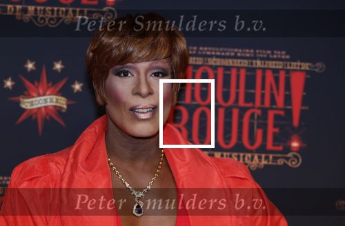 Utrecht 19 september 2024
Premiere Moulin Rouge in het Beatrix theater. Nicky Nicole